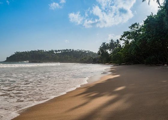 mirissa beach