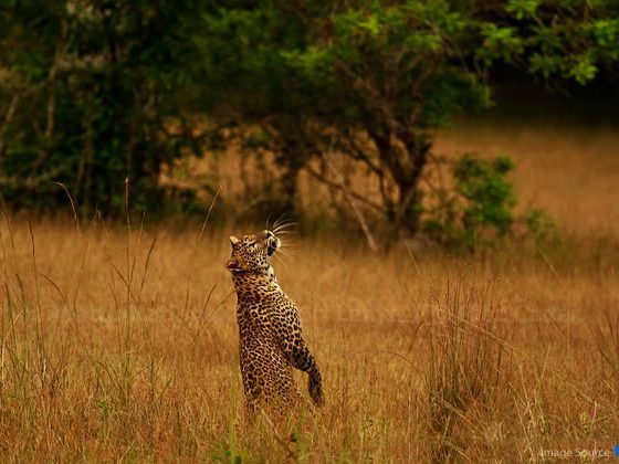 Willpattu wildlife park