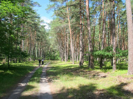 Słowiński_National_Park