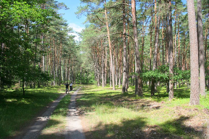 Słowiński_National_Park