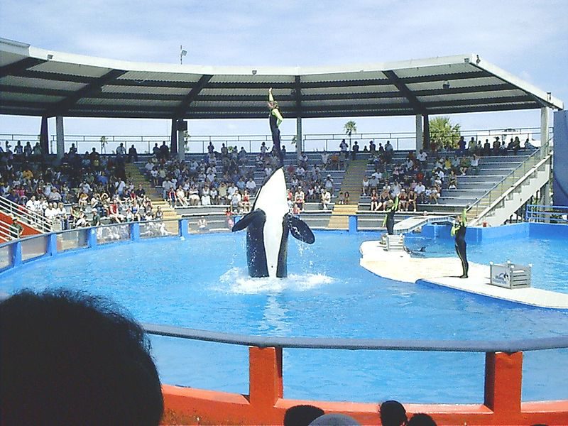 Miami seaquarium