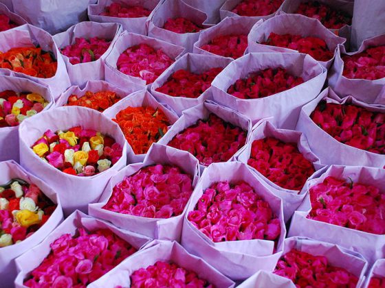 Roses in a Bangkok flower market