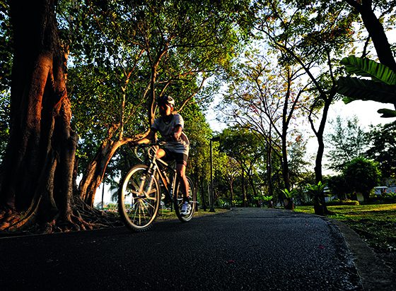 Bangkok Benjakiti Park