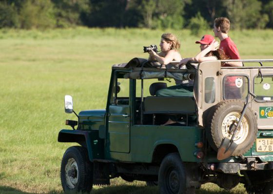 Elephant watching in Wasgamuwa National Park