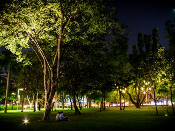The Ayala Triangle at Night