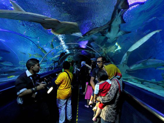 Aquaria KLCC Malaysia