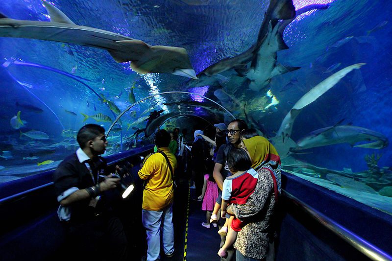Aquaria KLCC Malaysia