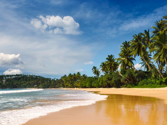 Golden Beaches of Sri Lanka