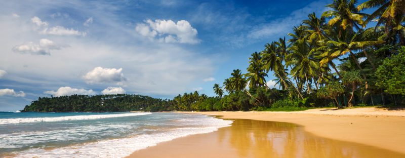 Golden Beaches of Sri Lanka