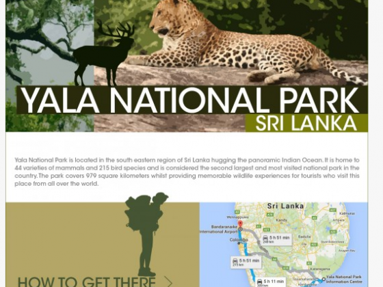 Yala national park