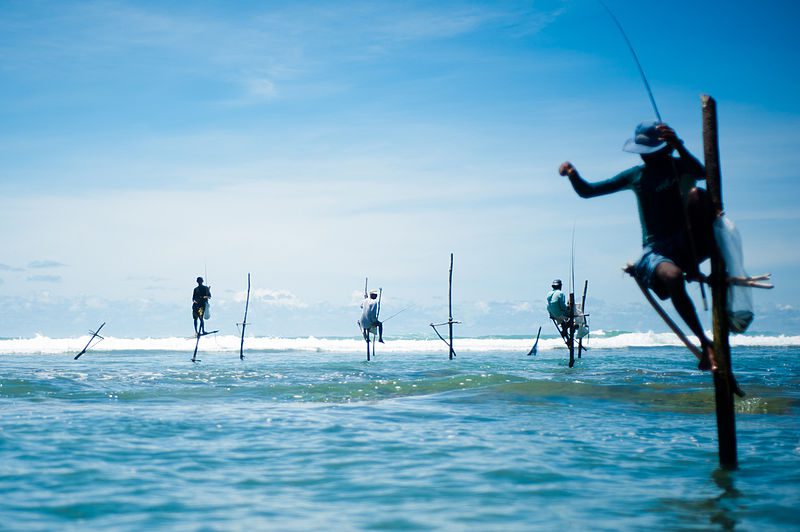 Stick_fishermen_of_Sri_Lanka