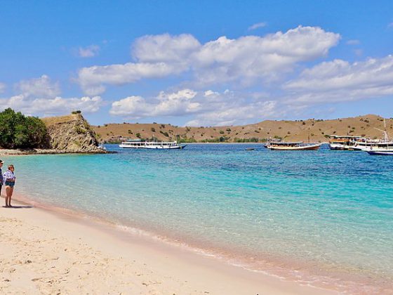 View of Pink Beach, Komodo Island, Indonesia
