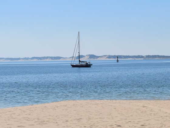 Image Bybecca282bl Via Pixabay