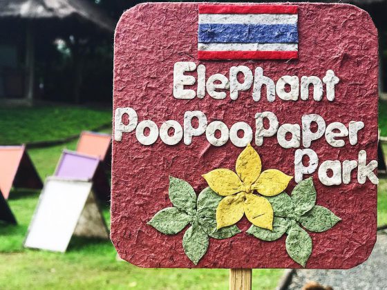 Elephant Poo Poo Paper chiang mai