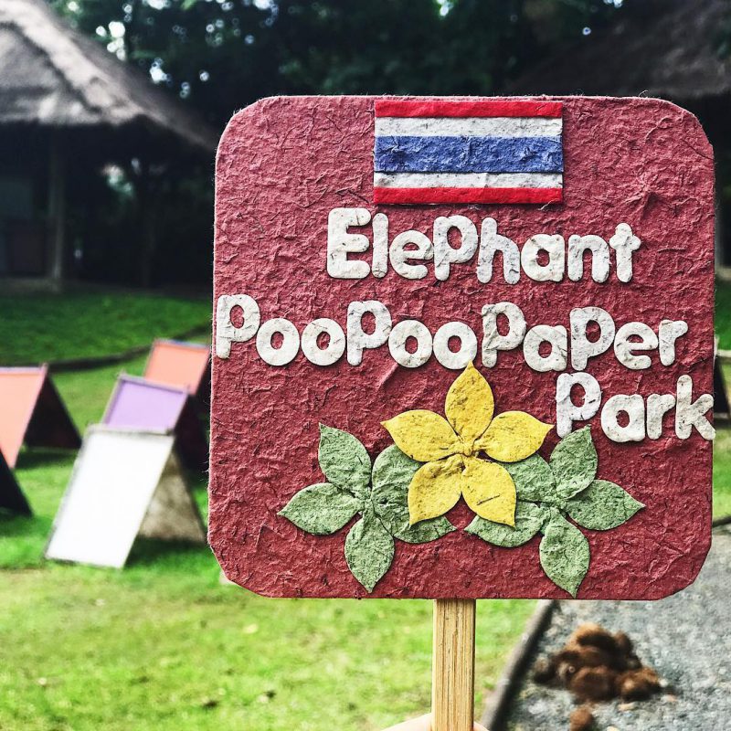 Elephant Poo Poo Paper chiang mai