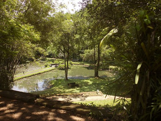 Lunuganga, Bentota, Sri Lanka
