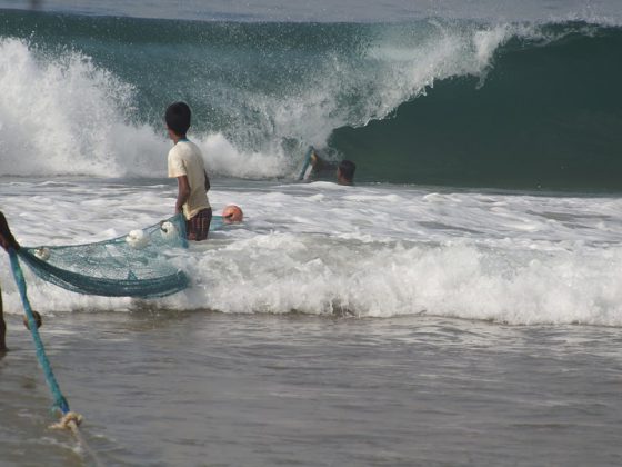 Fischer Sri Lanka Beach Fish