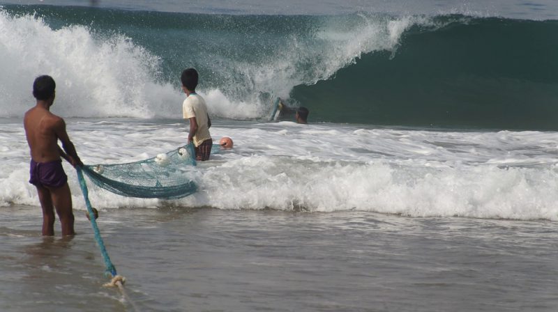 Fischer Sri Lanka Beach Fish