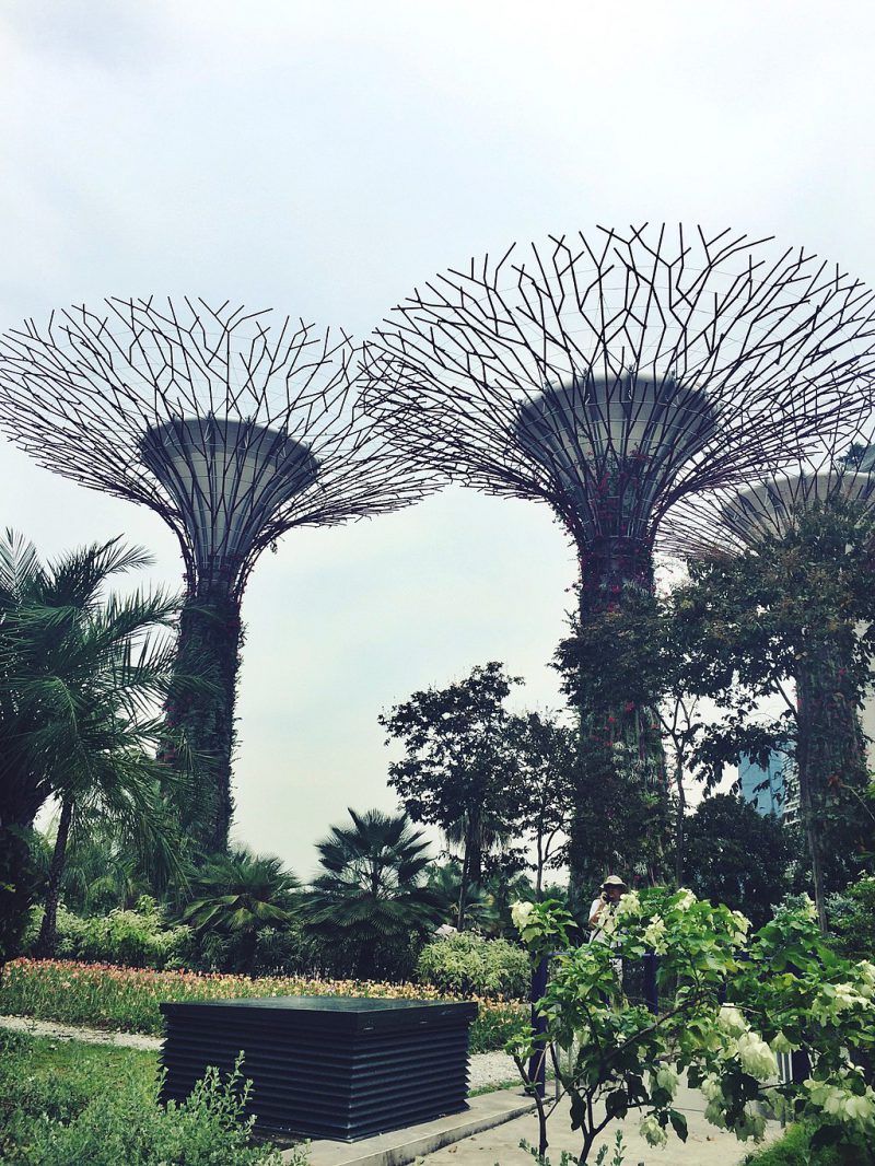 Gardens by the Bay Singapore | Image Credit - Roisingeorginabrown21, CC BY-SA 4.0 Via Wikipedia Commons