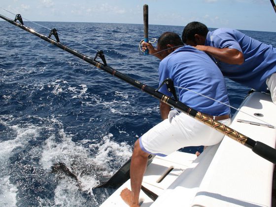 Maldives Fishing | Image Courtesy: CS Jay , Maldivesfish3 , CC BY 2.0