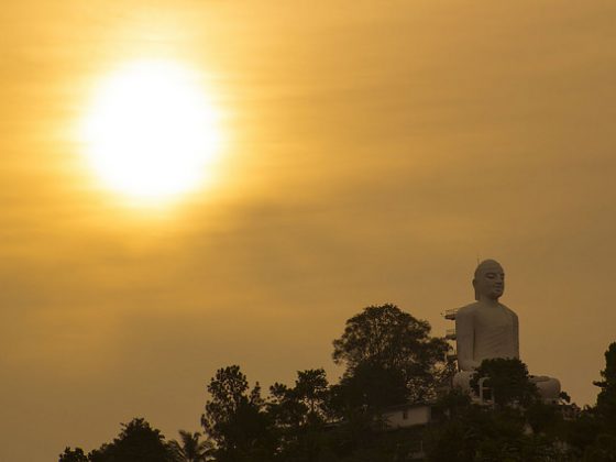 Bahirawakanda | Image Credit: Ivan Teage