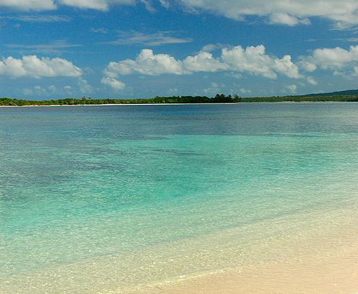 Vanuatu Beach | Image Credit: Niki Gango, Vanuatu-EratapBeach, CC BY-SA 3.0