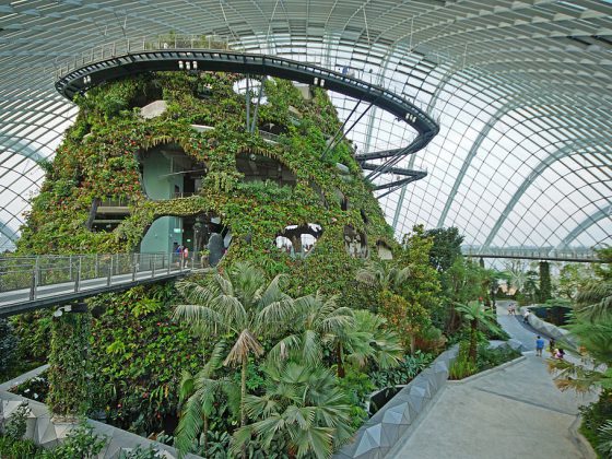 Gardens by the Bay Singapore | Image Credit: Allie Caulfield., Cloud Forest, Gardens by the Bay, Singapore - 20120617-05, CC BY 2.0