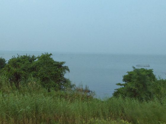 Muthurajawela | Image Credit: Николай Максимович, Negombo Lagoon (Muthurajawela marsh), Sri Lanka - panoramio, CC BY 3.0
