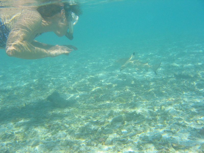 Water Sports in Maldives | Image Credit: By Janderk68 (Own work) [CC0], via Wikimedia Commons