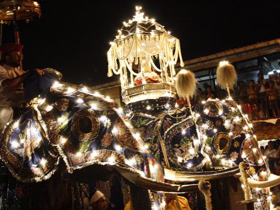 Esala Perahera | Image Credit: Daniel Liabeuf, Elephants of Kandy Esala Perahera (2), CC BY-SA 3.0