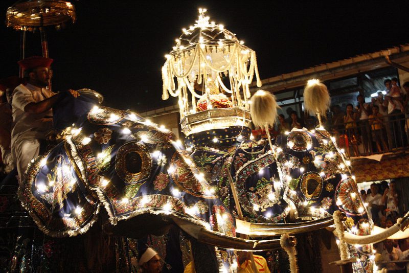 Esala Perahera | Image Credit: Daniel Liabeuf, Elephants of Kandy Esala Perahera (2), CC BY-SA 3.0