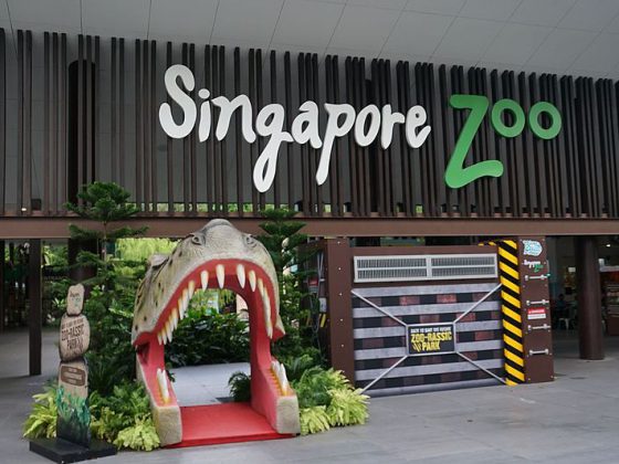Singapore Zoo | Image Credit - Dan arndt, CC BY-SA 4.0 Via Wikimedia Commons