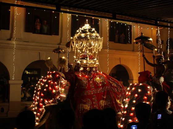 Perahara festival, Sri budha's tooth | Image By - Omar AV, CC BY 3.0 Via Wikimedia Commons