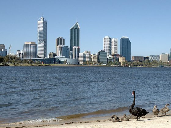 Swan River, Perth | Image Credit: Nachoman-au, Swan River,Perth,Western Australia, CC BY-SA 3.0