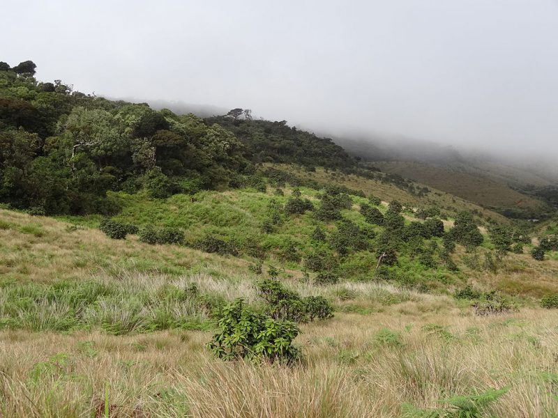 Horton Plains