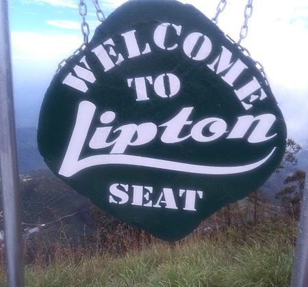 Lipton seat | Image Credit - Haranketha, CC BY-SA 3.0 Via Wikimedia Commons