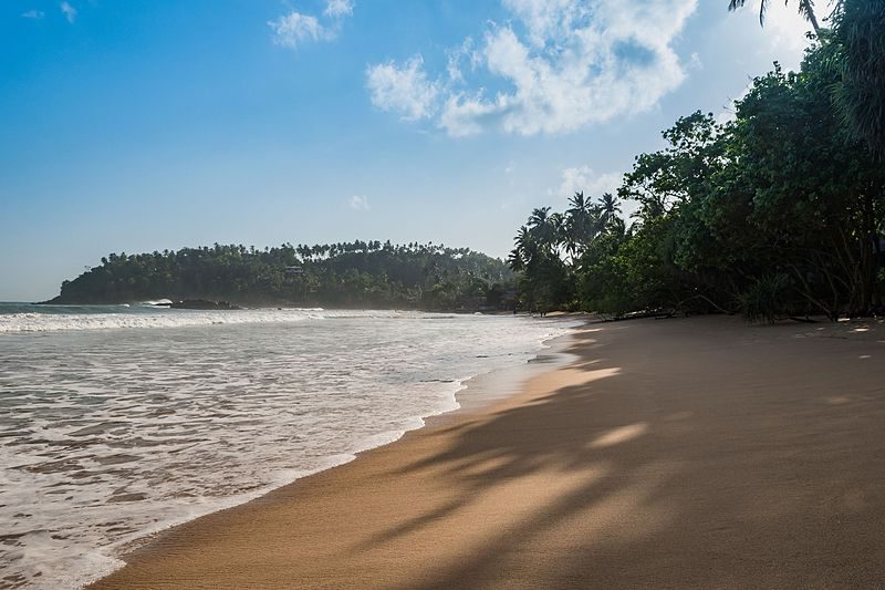 Mirissa beach Sri Lanka | Image Credit - dronepicr CC BY 2.0 Via Wikimedia Commons