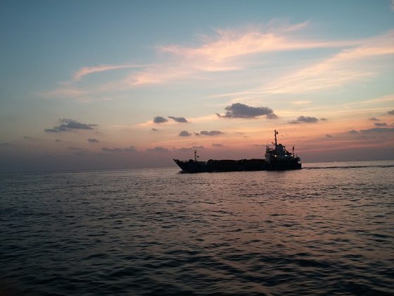 Sir Bani Yas Island | Image credit -Salimapur0, CC BY-SA 4.0 Via Wikimedia Commons