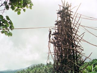 Vanuatu's Pentecost Island