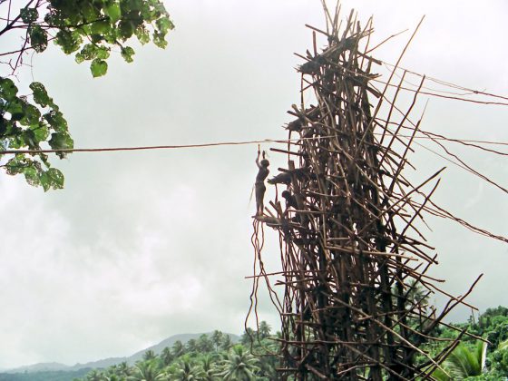 Vanuatu's Pentecost Island
