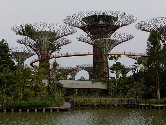 Gardens by the Bay | Image Credit - KimonBerlin, CC BY-SA 2.0 Via Wikimedia Commons