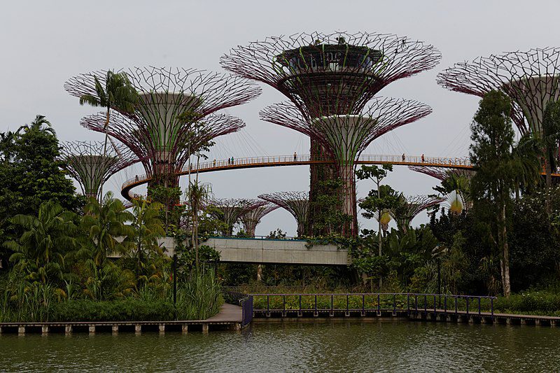 Gardens by the Bay | Image Credit - KimonBerlin, CC BY-SA 2.0 Via Wikimedia Commons