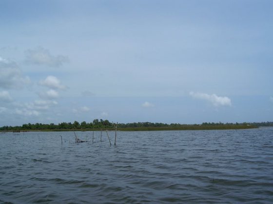 Bolgoda Lake