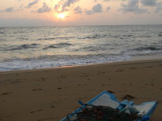 Negombo Beach