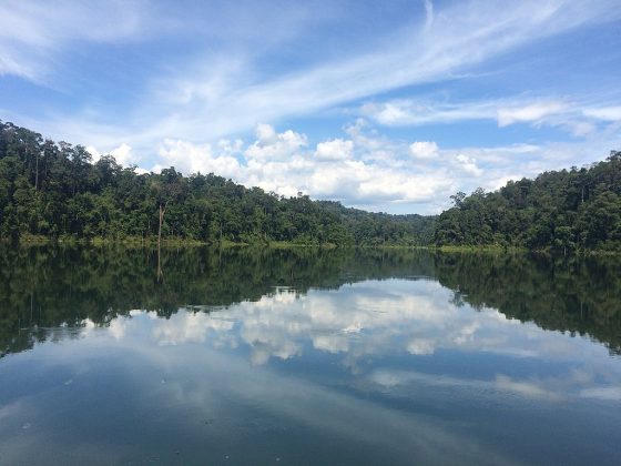 Royal Belum State Park