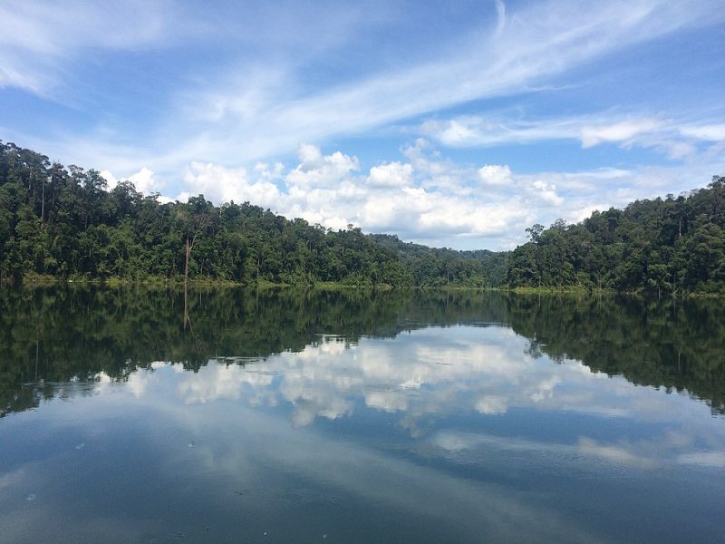 Royal Belum State Park