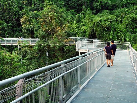 Southern ridges trail