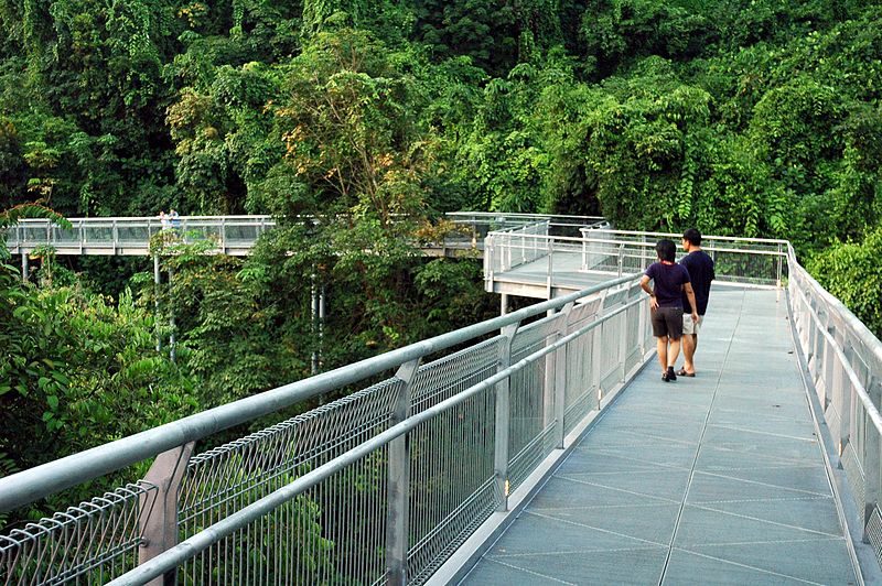 Southern ridges trail