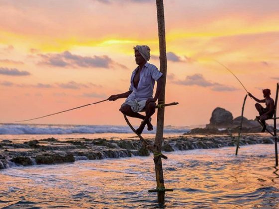 Stilt fisherman
