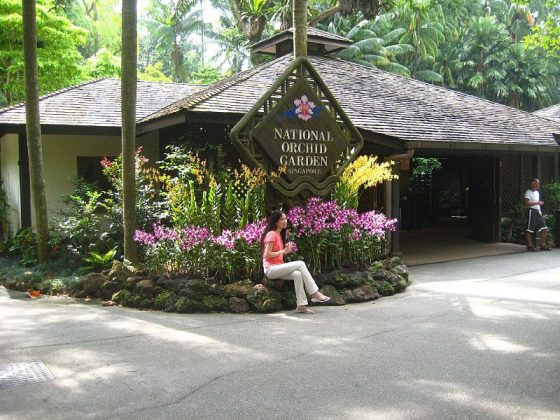 Singapore National Orchid Garden